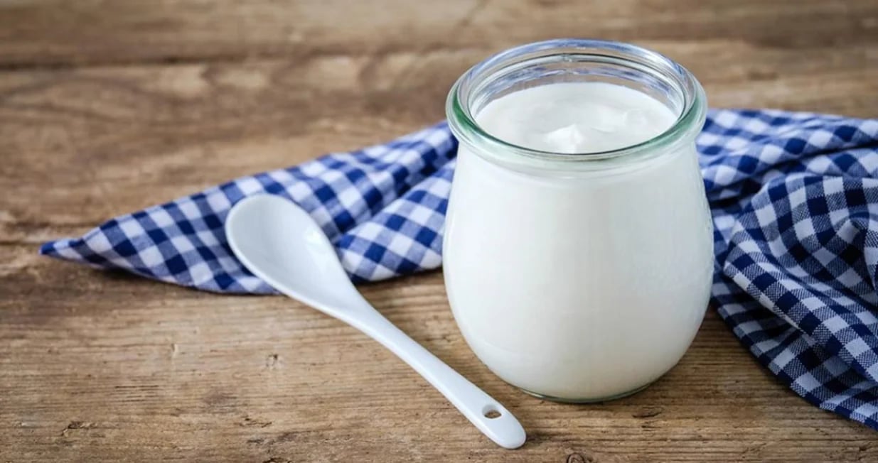 Hrana bogata probioticima: Više od jogurta za zdravlje