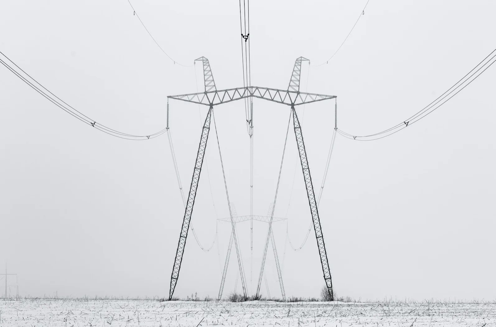 Monohromatska fotografija dalekovoda prekrivenog snijegom.