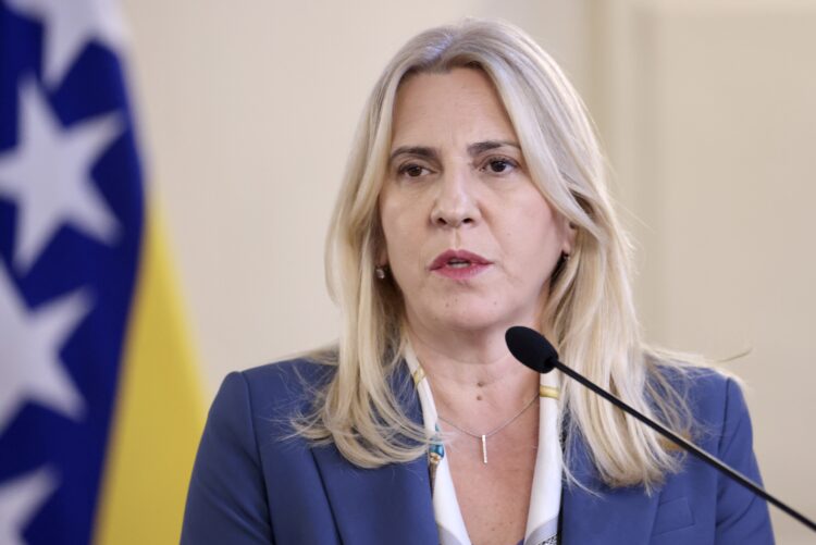 Cvijanović kritikovala francusko-njemacki non-pejper o BiH