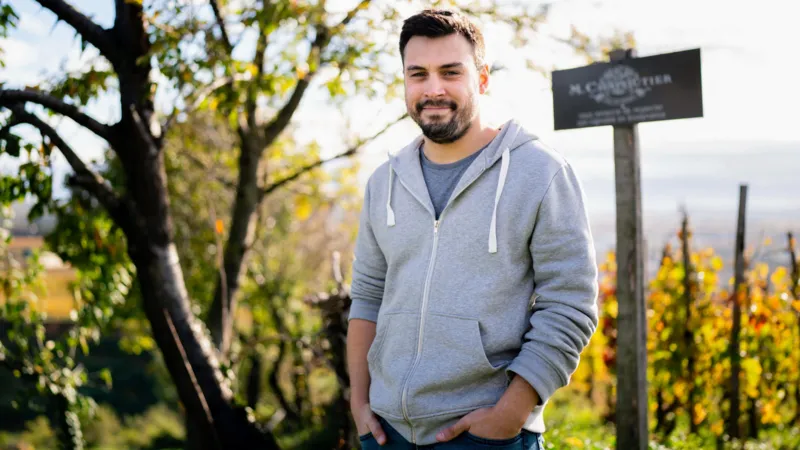 Francuski vinogradar stvorio vina koja su ilegalna u Francuskoj, ali su dostupna u Velikoj Britaniji