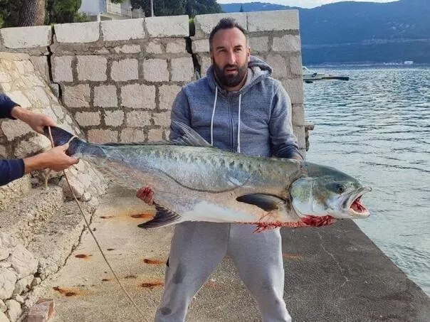 Ribolovac u Neumu ulovio “zvijer” tešku 30 kg: Sat vremena borbe na moru