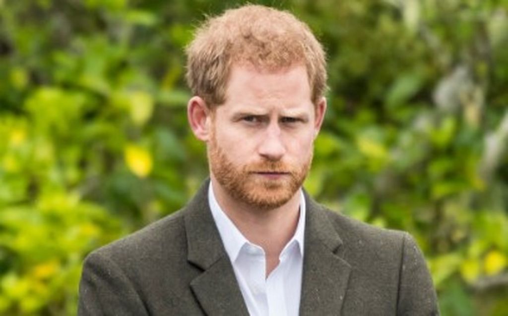 Princ Harry napustio humanitarnu organizaciju: Šefica ga optužila za mobing