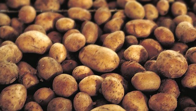 Vjerovali su da izaziva kugu i da je đavolja biljka: Nevjerovatna prevara kojom je krompir osvojio svijet Vjerovali su da izaziva kugu i da je đavolja biljka: Nevjerovatna prevara kojom je krompir osvojio svijet