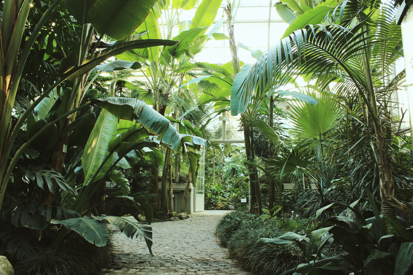 Švicarski ljekari koriste muzeje i botaničke bašte kao terapiju