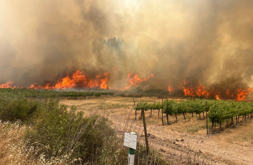 Veliki požar bukti na periferiji Jerusalema, vjetar otežava gašenje Veliki požar bukti na periferiji Jerusalema, vjetar otežava gašenje