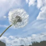 Vremenska prognoza: Toplo i ugodno vrijeme danas, ali od ponedjeljka dolazi hladnoća i obilne kiše