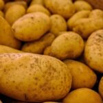 Kako je krompir promijenio genetiku Anda: Naučnici otkrili fascinantnu vezu