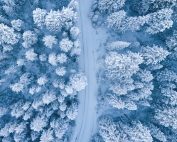 A mesmerizing aerial perspective of a snowy winter forest with a winding path.