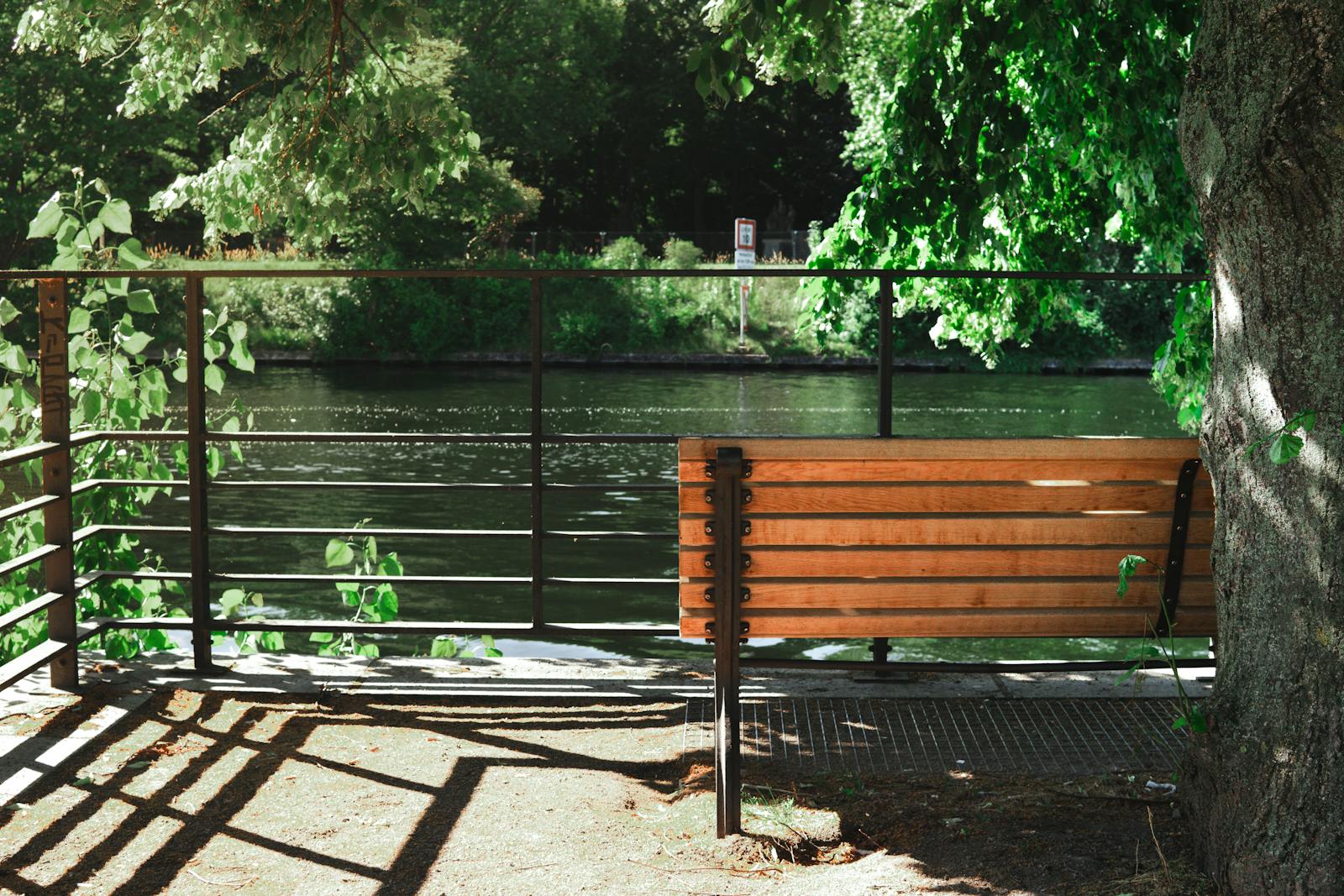 Tranquil riverside bench in Berlin's lush park setting, perfect for relaxing outdoors.