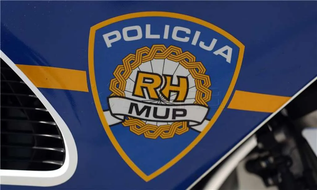 Hrvatska policija razotkrila osam internetskih pedofila u međunarodnoj akciji