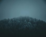 A serene foggy winter scene of snow-covered forest in Jenbach, Austria.