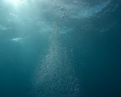 Peaceful underwater scene with sunlight and streaming bubbles in the ocean.