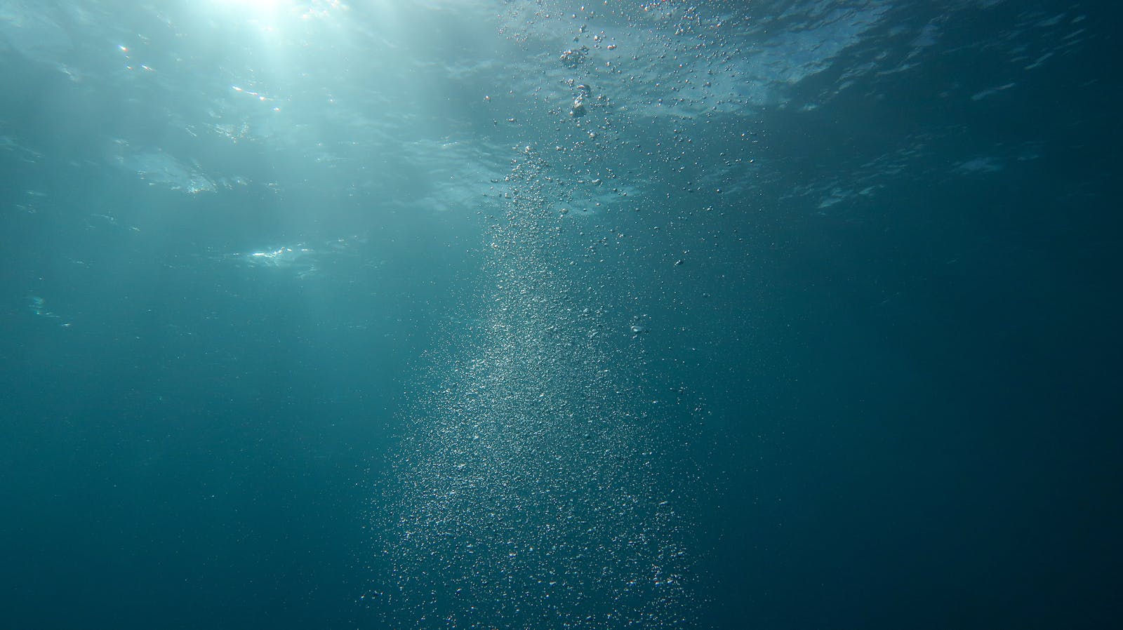 Peaceful underwater scene with sunlight and streaming bubbles in the ocean.