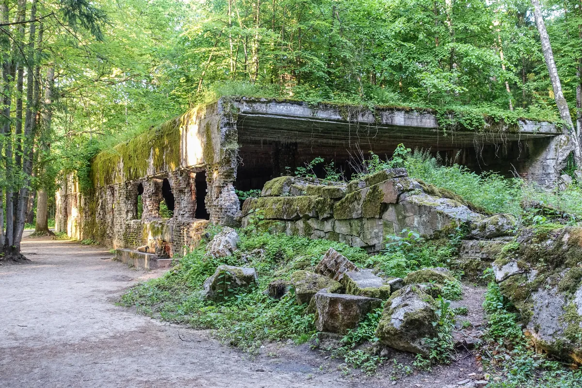 Vučja jazbina: Hitlerov tajni štab u poljskim šumama