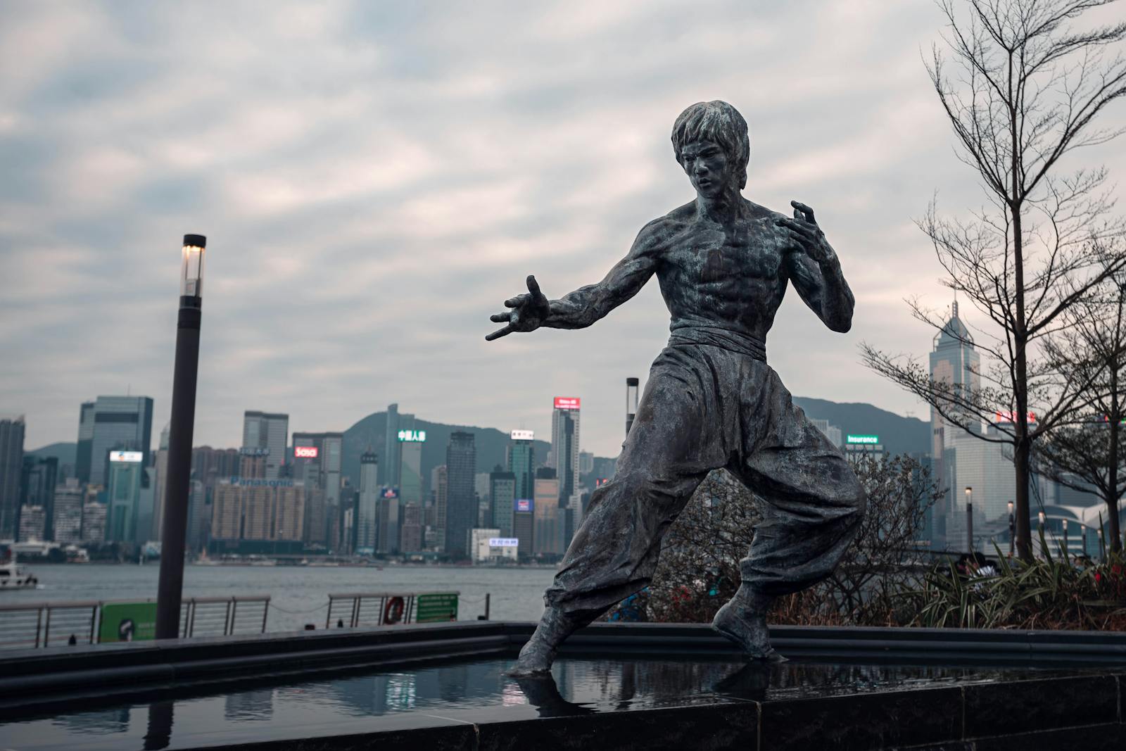 Statue of Bruce Lee in martial arts pose with Hong Kong skyline backdrop.