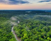 Scenic aerial view of a lush green forest with a river and mist at sunset, showcasing nature's beauty.