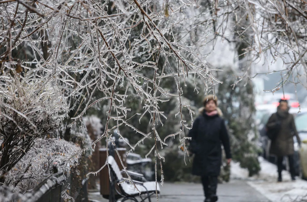 Zaleđene grane drveća i ljudi u šetnji tokom zimske oluje.