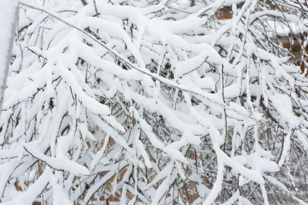 Predah od snijega kratkotrajan, od utorka nove padavine i problemi