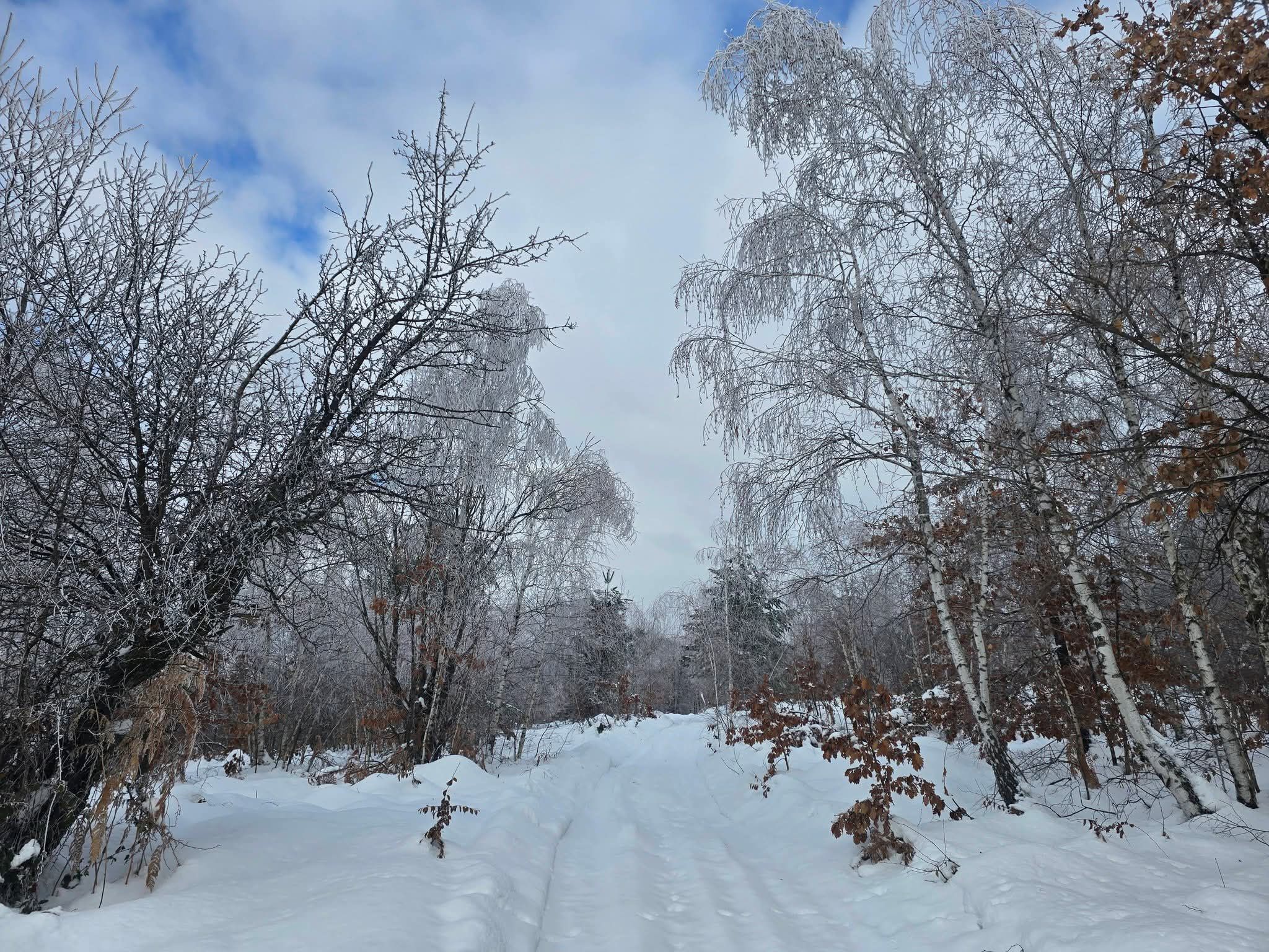 Blagi porast temperatura narednih dana u BiH