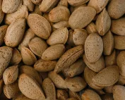 Detaljni prikaz badema u ljusci