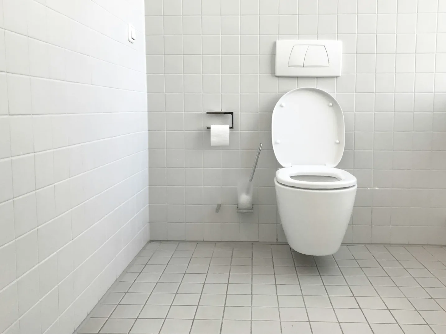 Minimalističko bijelo kupatilo sa otvorenim WC-om.