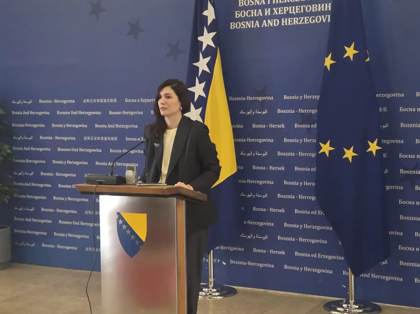 Američki investitori i Južna interkonekcija: Sastanak sa Sabinom Ćudić