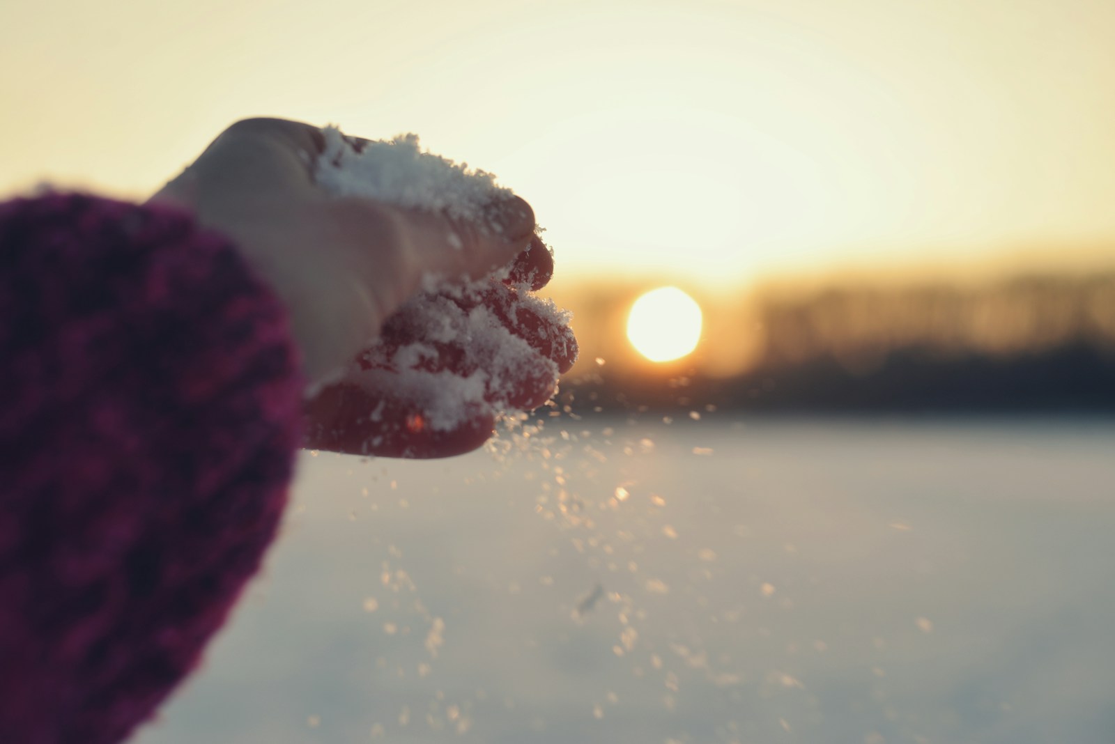 Hand holding snow with sunset background
