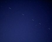 birds flying in the sky during night time
