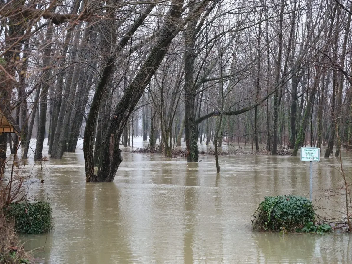 Poplavljena šuma u Bosni i Hercegovini, visoki vodostaj rijeke.