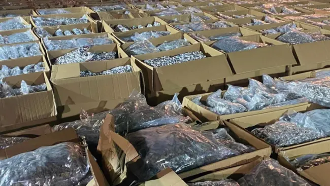 Rekordna zapljena: Pet tona marihuane u Srbiji Rekordna zapljena: Pet tona marihuane u Srbiji