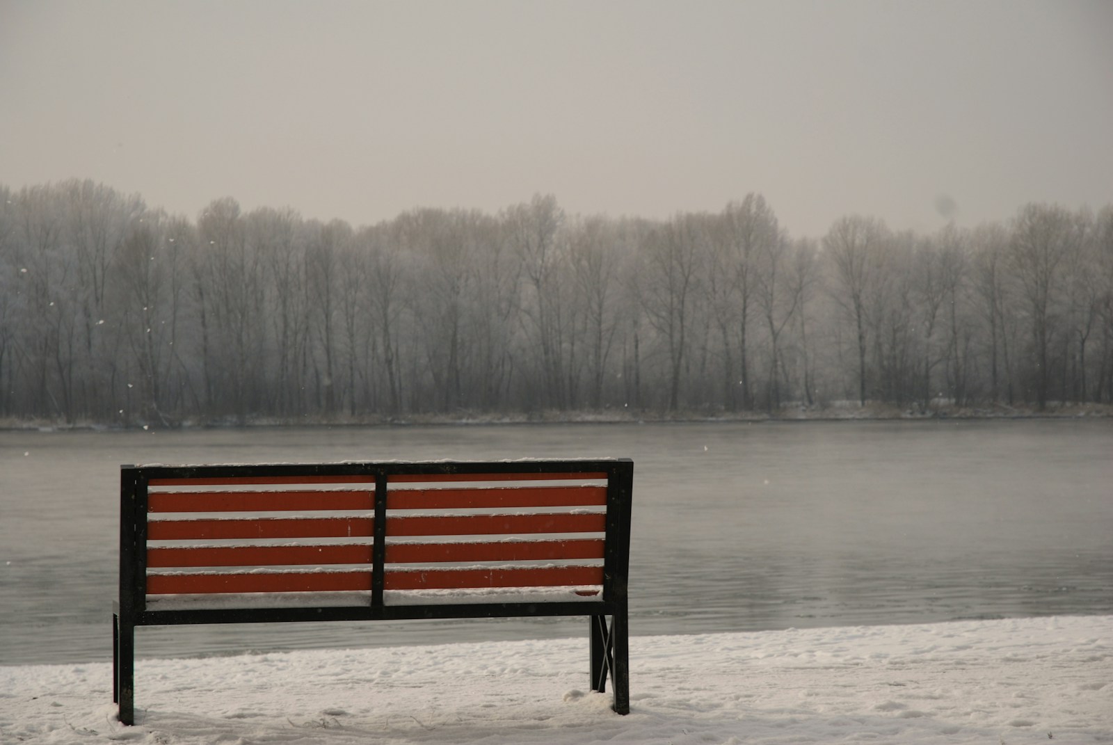 brown wooden bench on snow covered ground