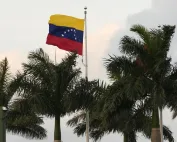 Zastava Venecuele vijori se pored palmi.