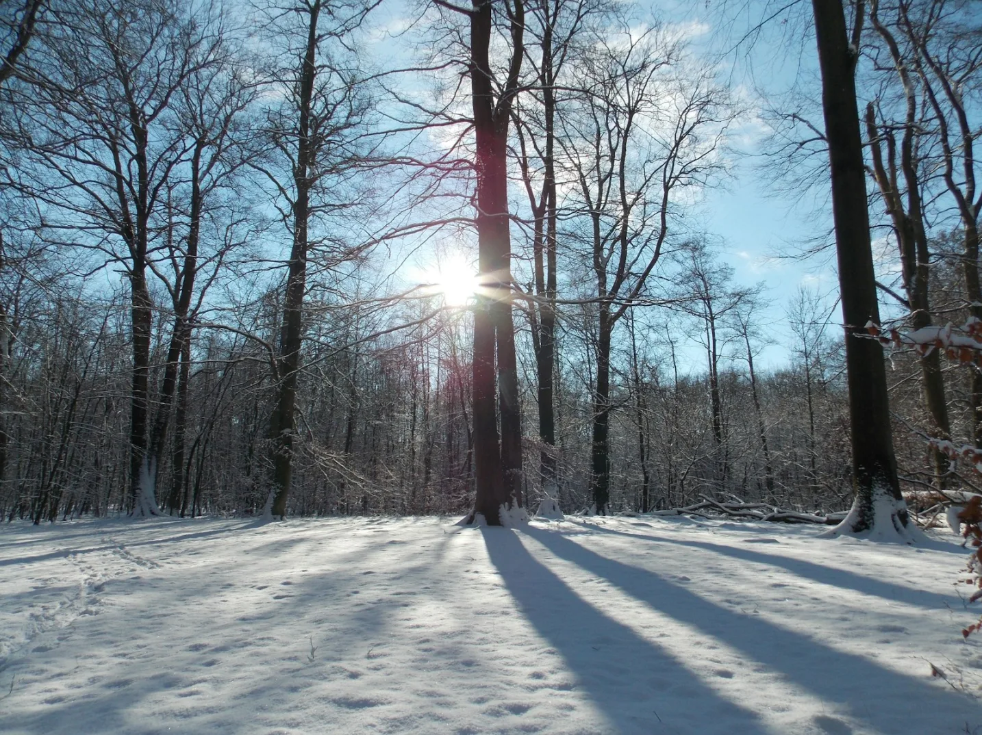 Umjereno oblačno vrijeme uz blagi porast temperature u BiH
