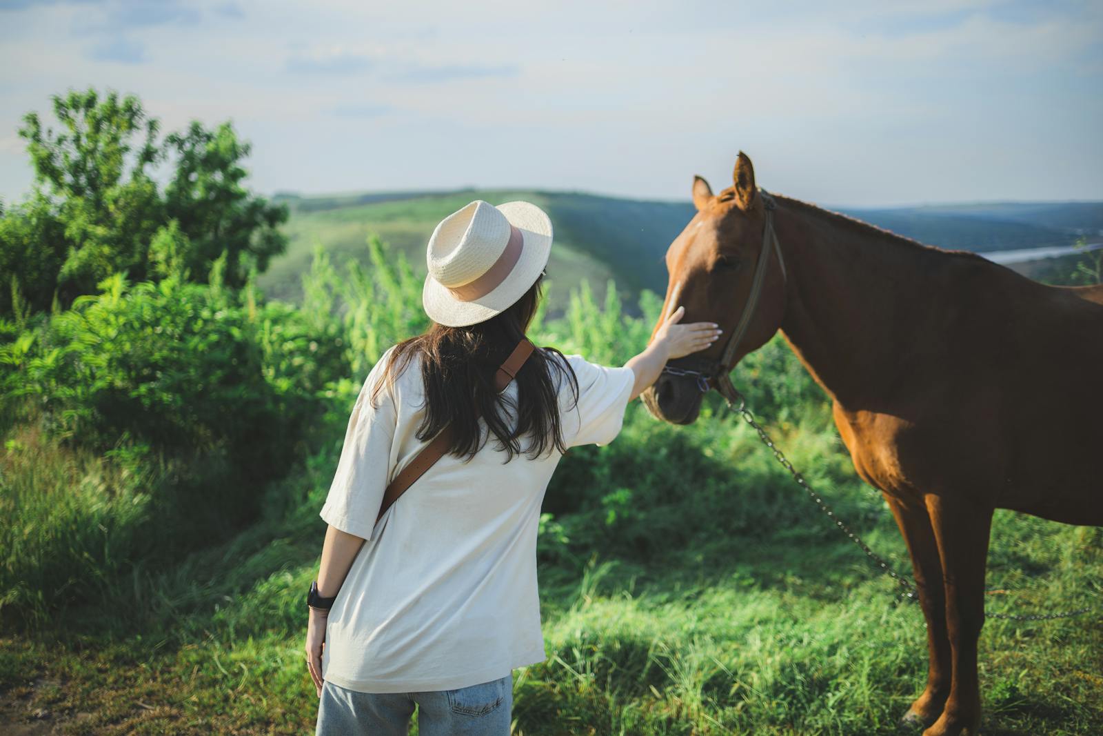 A woman in a sun hat gently strokes a brown horse in a lush green meadow.