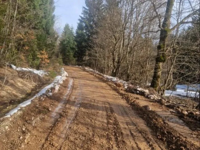 Porodica iz Crne Gore pronađena na Zelengori nakon noći lutalice: GPS ih je naveo na pogrešan put