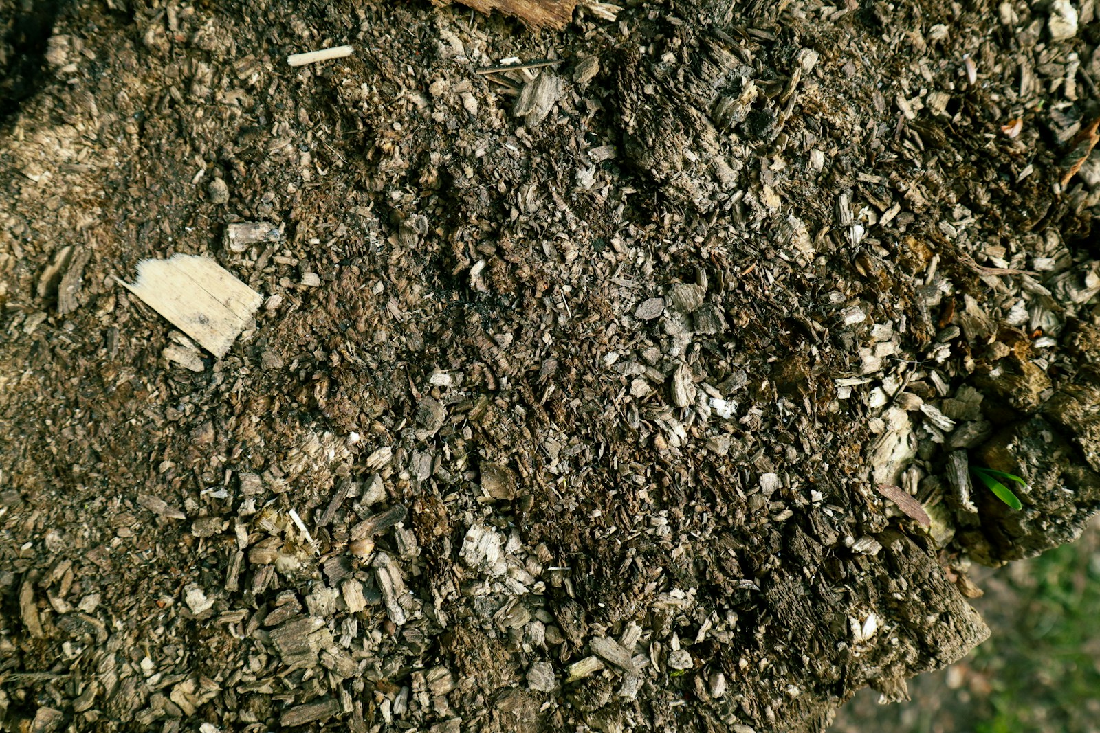a close up of a dirt and grass area
