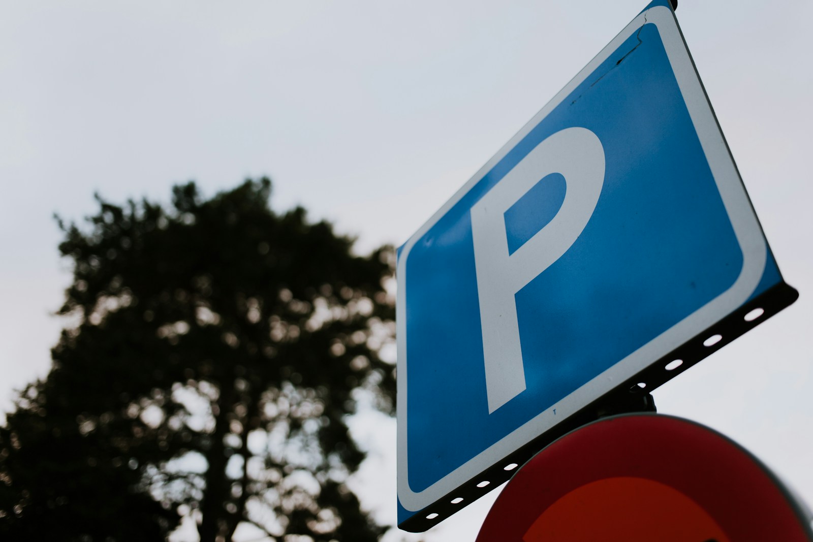 a close up of a street sign with a tree in the background