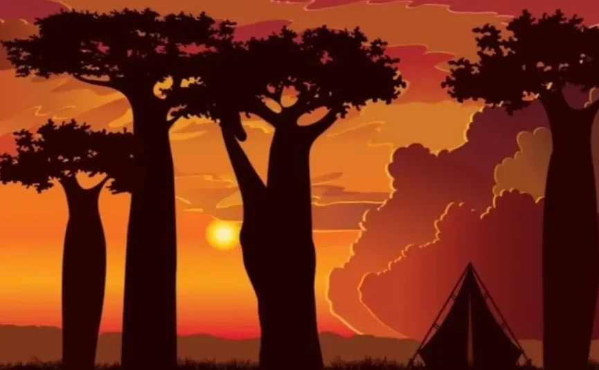 Siluete stabala baobaba i šatora na afričkom safariju pri zalasku sunca.