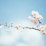 BH METEO: Kakvo nas vrijeme očekuje za 1. maj?