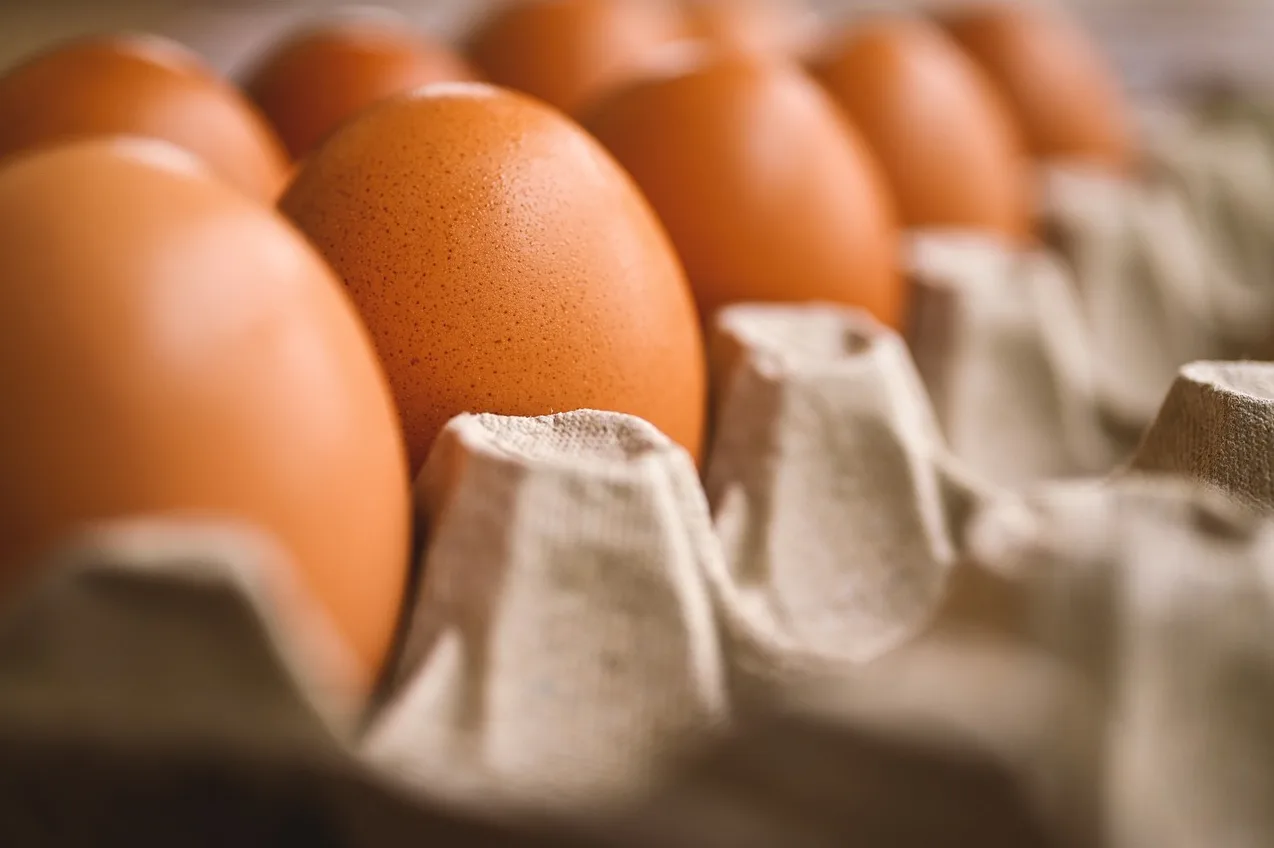 Krupni kadar smeđih kokošijih jaja složenih u kartonskom pakovanju.