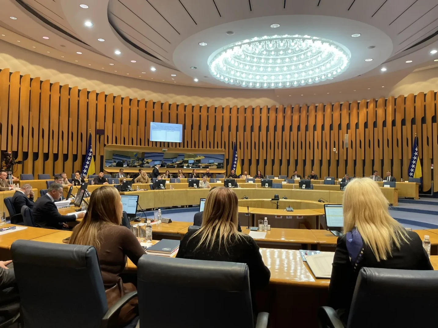 Hitna sjednica Doma naroda: Delegati razmatraju ukidanje akciza na naftu i niz ključnih zakona za BiH