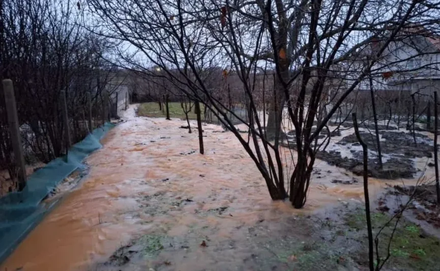 Plavno imanje poplavljeno mutnom vodom, sa drvećem bez lišća.