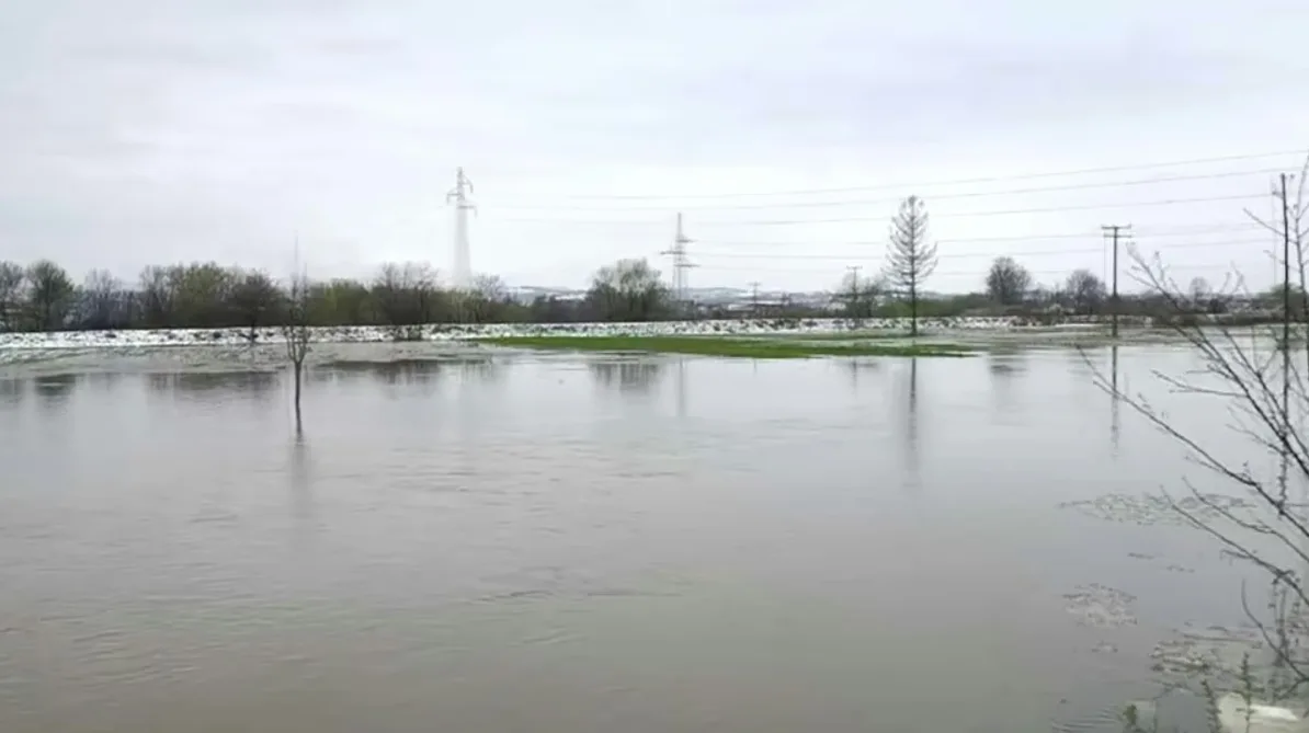 Poplavljeno poljoprivredno zemljište sa drvećem i dalekovodima u pozadini.