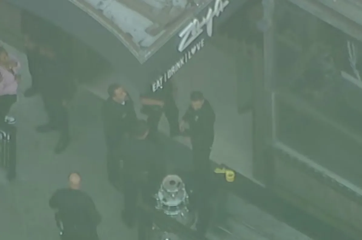 Policajci u akciji ispred restorana Zyna