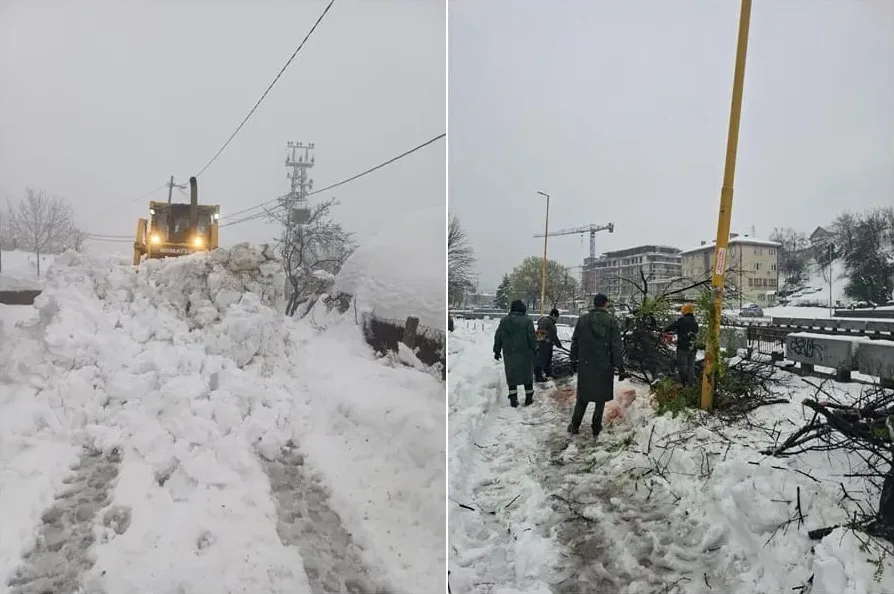 Bager čisti snijeg sa puta, a u drugom dijelu fotografije radnici uklanjaju srušeno drveće nakon snježnih padavina.