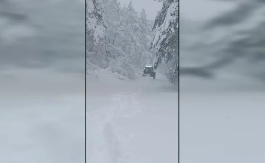 Traktor prolazi kroz duboki snijeg na zavejanom putu u šumi