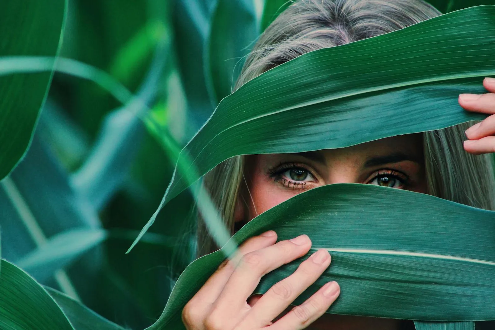 Žena viri iza velikih zelenih listova kukuruza, fokus na njenim očima.