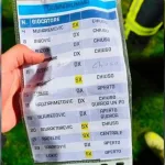 Donnarumma pokušao uništiti Vasiljeve bilješke, a dječaci s Bilinog polja mu uzvratili istom mjerom: “Osveta je bila slatka”