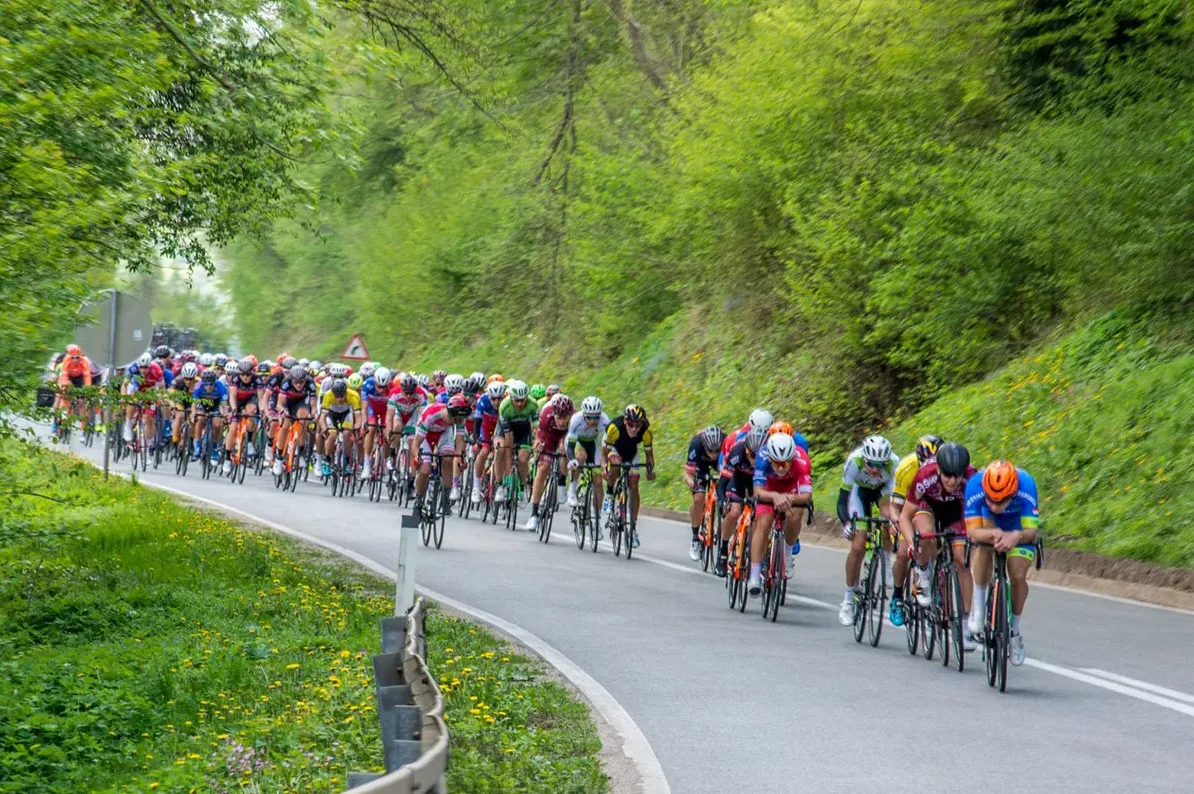 Kolona biciklista u punoj brzini vozi uskom asfaltnom cestom okruženom bujnom zelenom vegetacijom i drvećem.