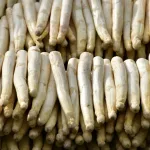 Zaboravljeni lijek iz kuhinje: Prirodni saveznik imuniteta i probave